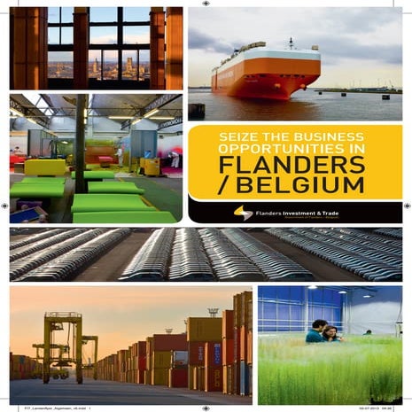Seize the business opportunities in Flanders/Belgium