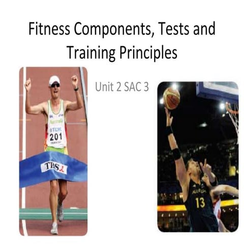 Fitness components tests & training principles