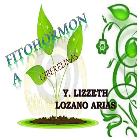 Fitohormona GIBERELINA