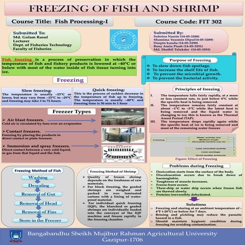 Freezing Method of Fish and Shrimp