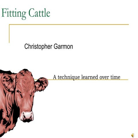 Fitting cattle