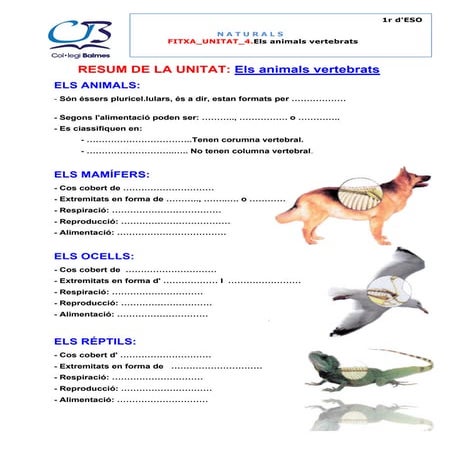 Fitxa unitat 4.els animals vertebrats