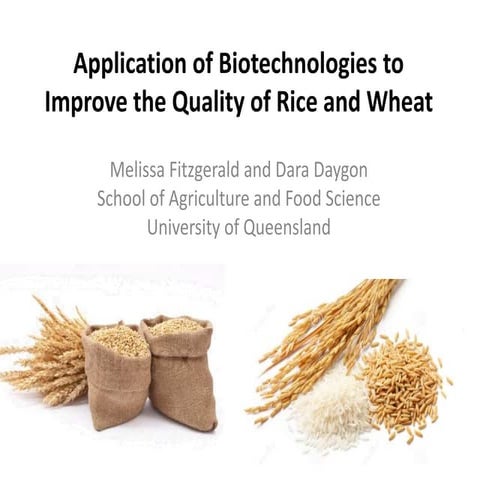 Application of biotechnologies in improving the quality of rice and ...