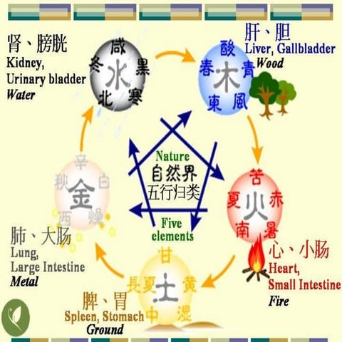 Five elements | PPT