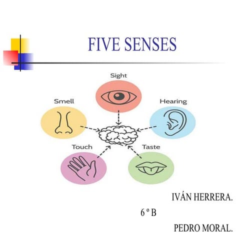 Five senses by pedro and iván herrera