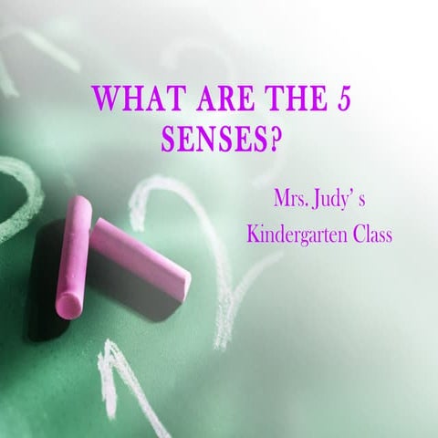 Our Five Senses