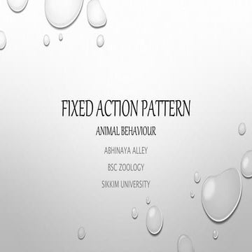 Fixed action pattern