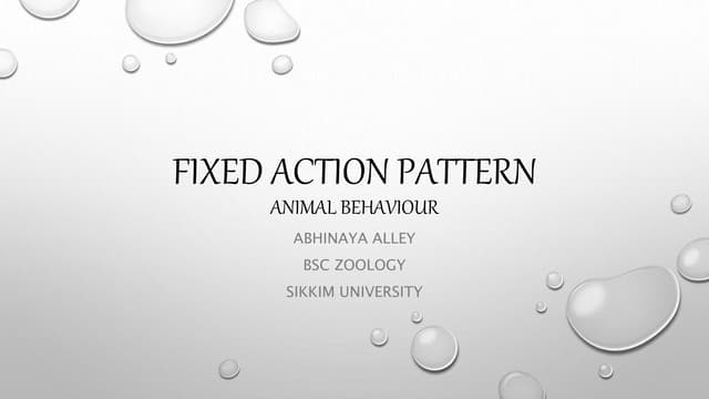 Fixed action pattern
