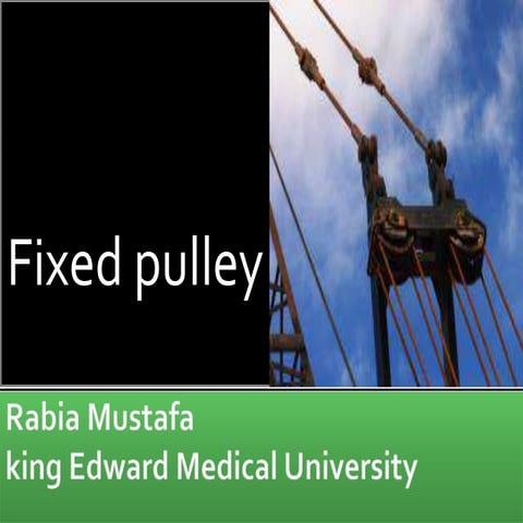 Fixed pulley