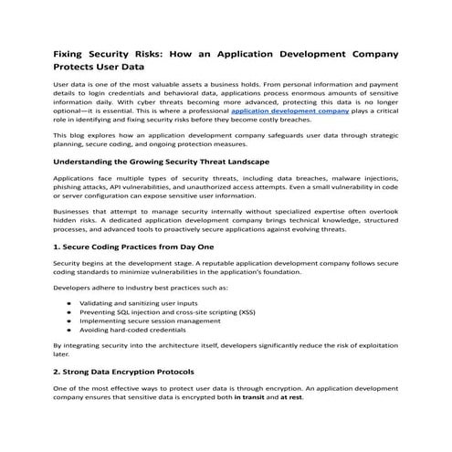 Fixing Security Risks_ How an Application Development Company Protects ...
