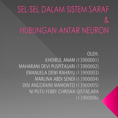 SEL DALAM SISTEM SARAF DAN HUBUNGAN ANTAR NEURON