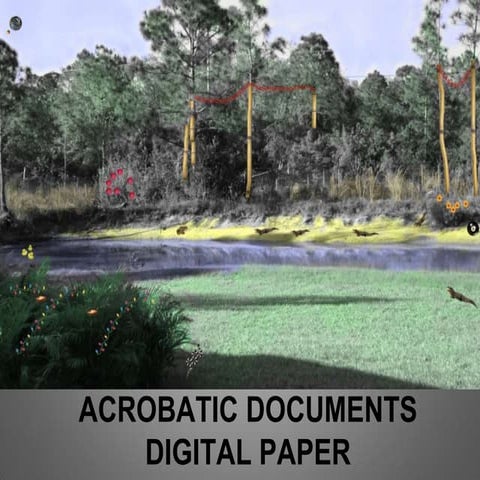 Acrobatic Documents