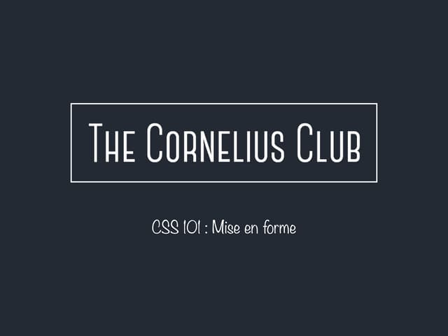 #4 css 101
