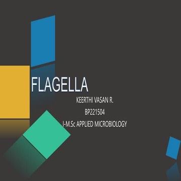 flagealla..ppt