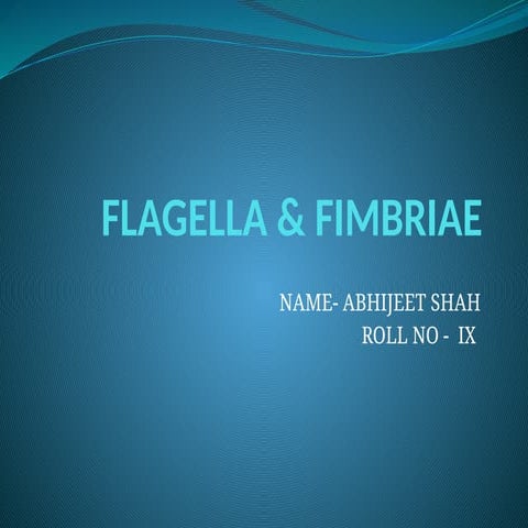 FLAGELLA & FIMBRIAE.pptx flagella motility structure