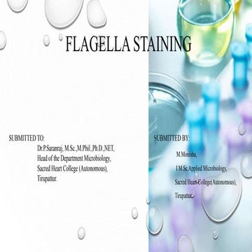Flagella Staining.pptx