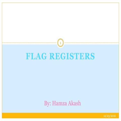 Flagsregistor 