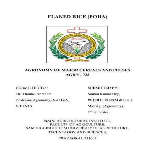 Flaked rice | PDF