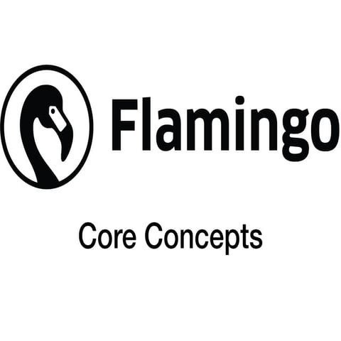 Flamingo Core Concepts