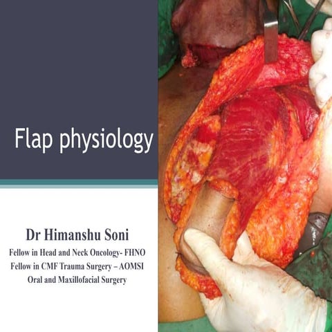 Flap physiology