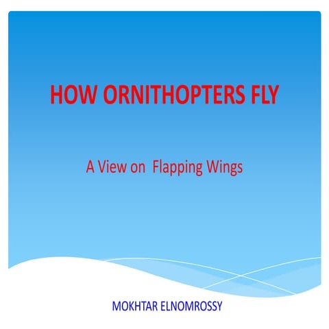 Flapping Ornithopters