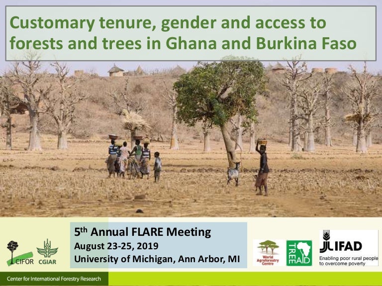 thumbnail of  Customary tenure, gender and access to forests and trees in Ghana and Burkina Faso