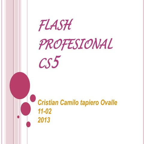 Adobe flash professional cs6 mt | DOCX