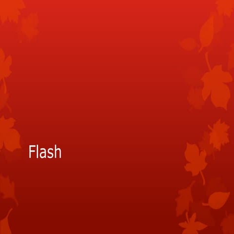 Flash