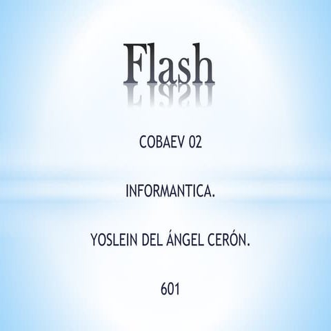 Flash informatica