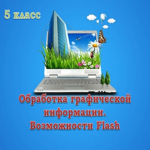 возможности Flash
