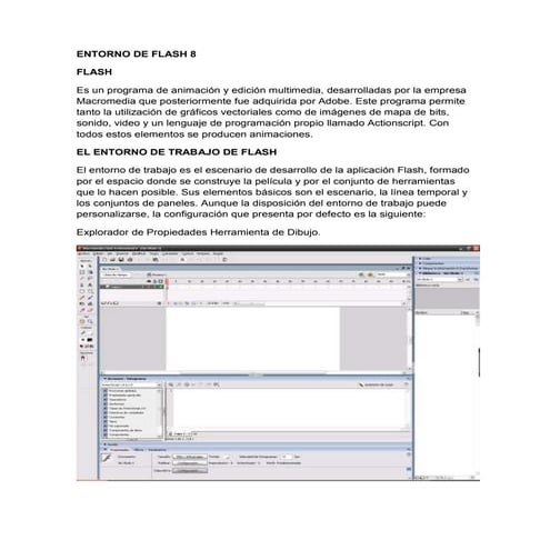 Flash profesional 8[1] | DOCX