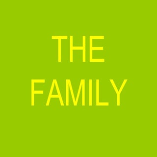 Flashcards - The family