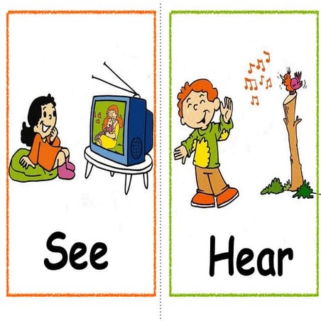 Flashcards Los sentidos