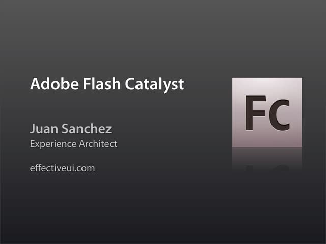 Flash Catalyst at Flex Camp Orange County