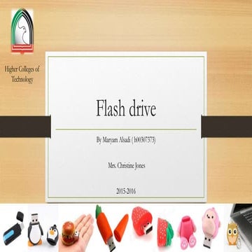 Flash drive