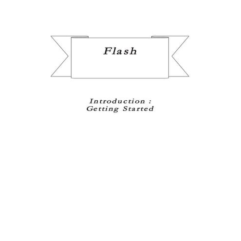 Flash modul INTRODUCTION