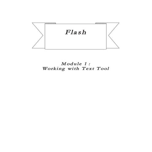Flash modul 1