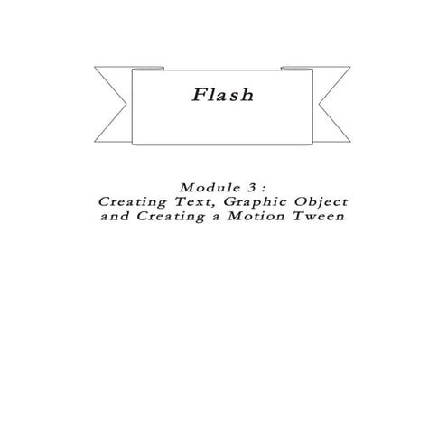 Flash modul 3