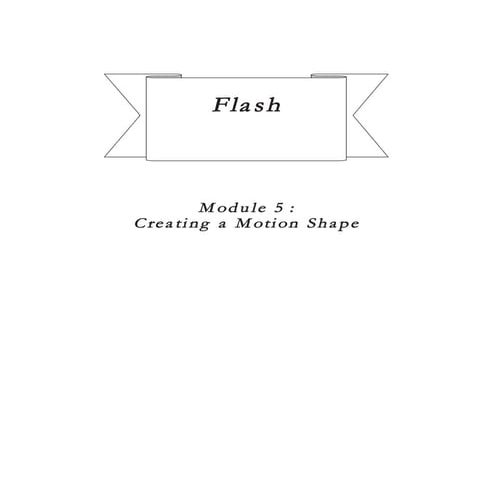 Flash modul 5