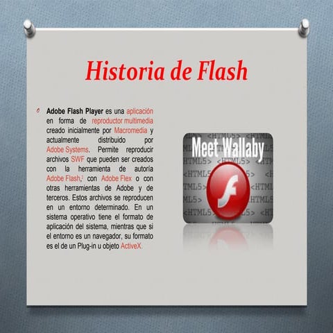 Flash presentacion
