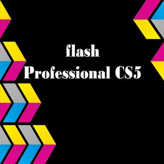 Flash professional
