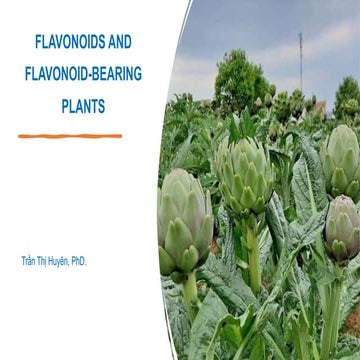 Duoc lieu 1 flavonoid truong dh khoa hoc suc khoe