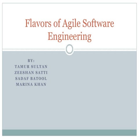 Flavours of agile software engineering
