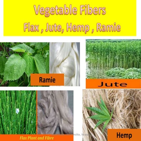Flax, jute, hemp , ramie