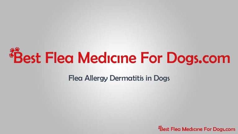 best treatment for flea allergy dermatitis in dogs