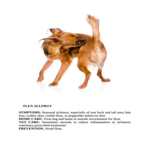 Gallery image with a fresh perspective