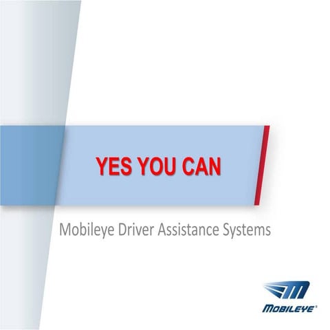 Mobileye for your Fleet