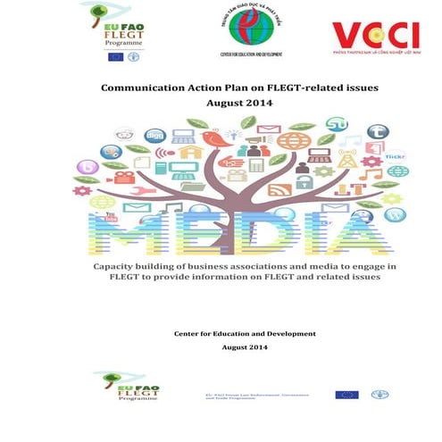 Flegt communications plan august 28 final