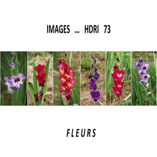 Fleurs images HDRI