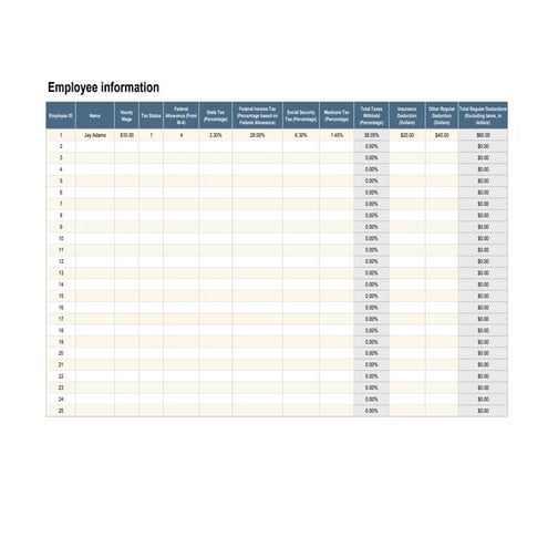 Flevy.com - Paycheck Stub Template